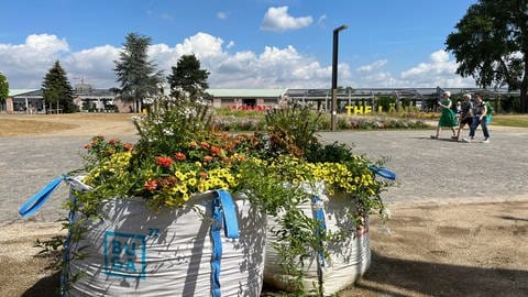 BUGA23 -Blumenkübel auf Spinelli - im Hintergrund "Monnem" und "The Land" (Foto: SWR)