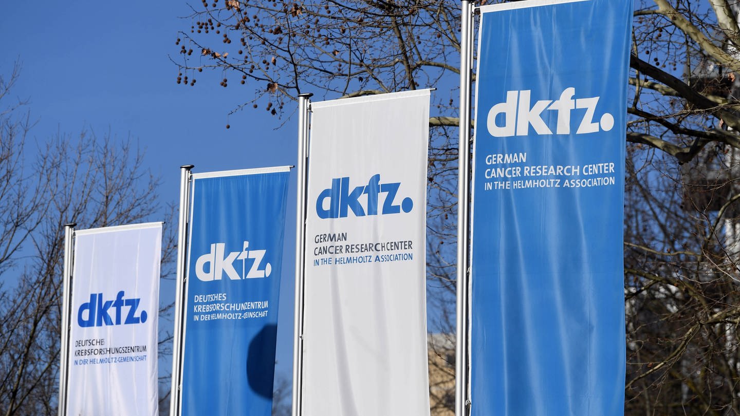 Fahnen mit dem Logo des DKFZ (Deutsches Krebsforschungszentrum) (Foto: dpa Bildfunk, picture alliance/dpa | Uli Deck)