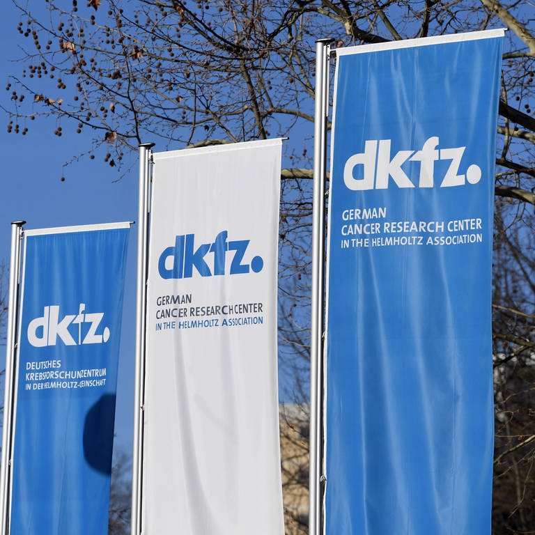 Fahnen mit dem Logo des DKFZ (Deutsches Krebsforschungszentrum) (Foto: dpa Bildfunk, picture alliance/dpa | Uli Deck)