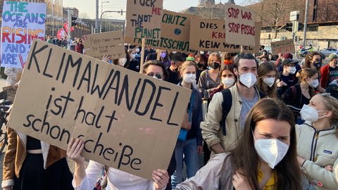 Demonstranten mit Plakaten und Schildern bei Demo von Fridays for Future in Mannheim (Foto: SWR)