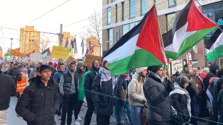 Mehrere Menschen haben Palästina-Fahnen und Plakate in der Hand.