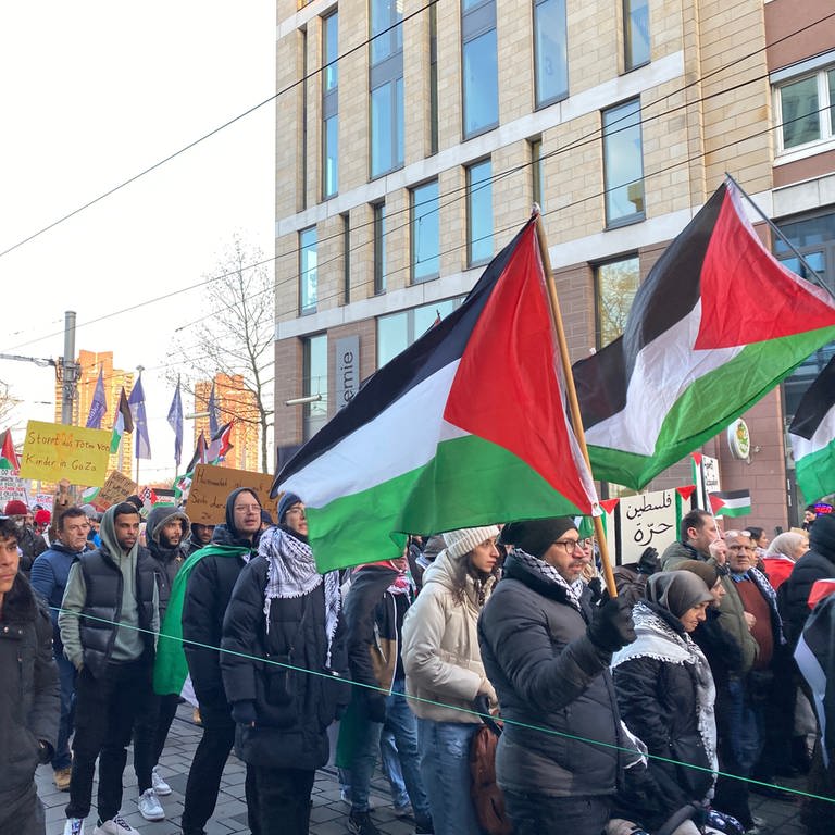 Mehrere Menschen haben Palästina-Fahnen und Plakate in der Hand. (Foto: SWR)