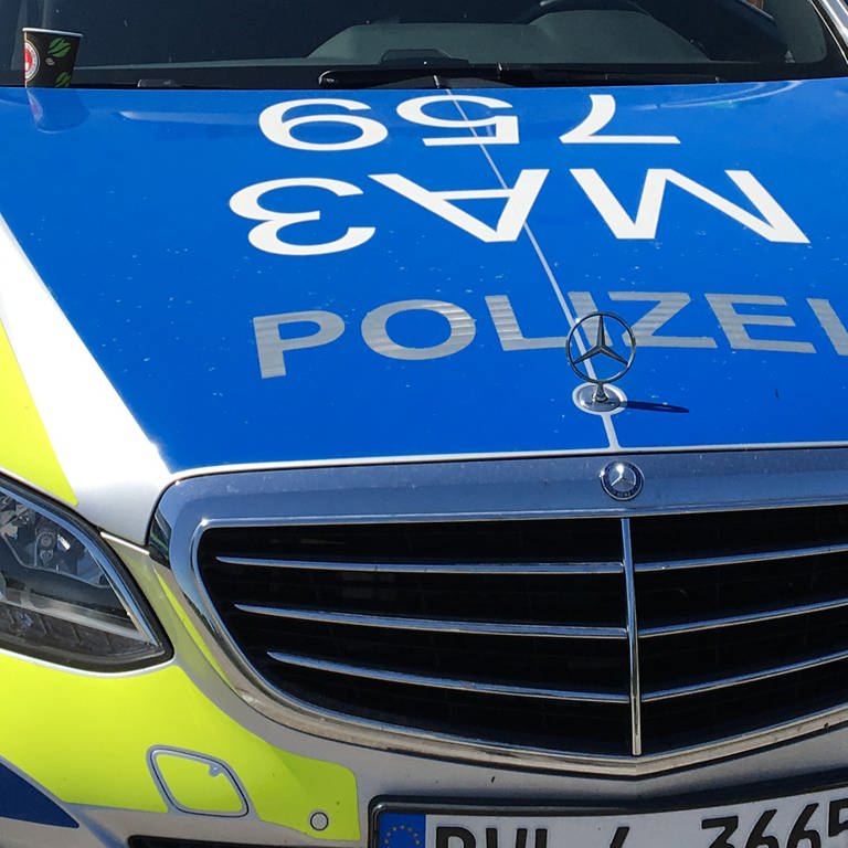 Ein Streifenwagen der Mannheimer Polizei (Symbolbild) (Foto: SWR, Symbolbild)