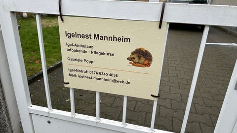 Auf einem Schild steht: Igelnest Mannheim, Igel-Ambulanz - Infoabende - Pflegekurse
