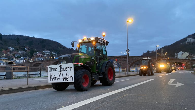 "Ohne Bauern kein Wein" steht auf dem Schild an einem Traktor bei der Bauerndemo in Heidelberg. (Foto: SWR, Philipp Behrens)