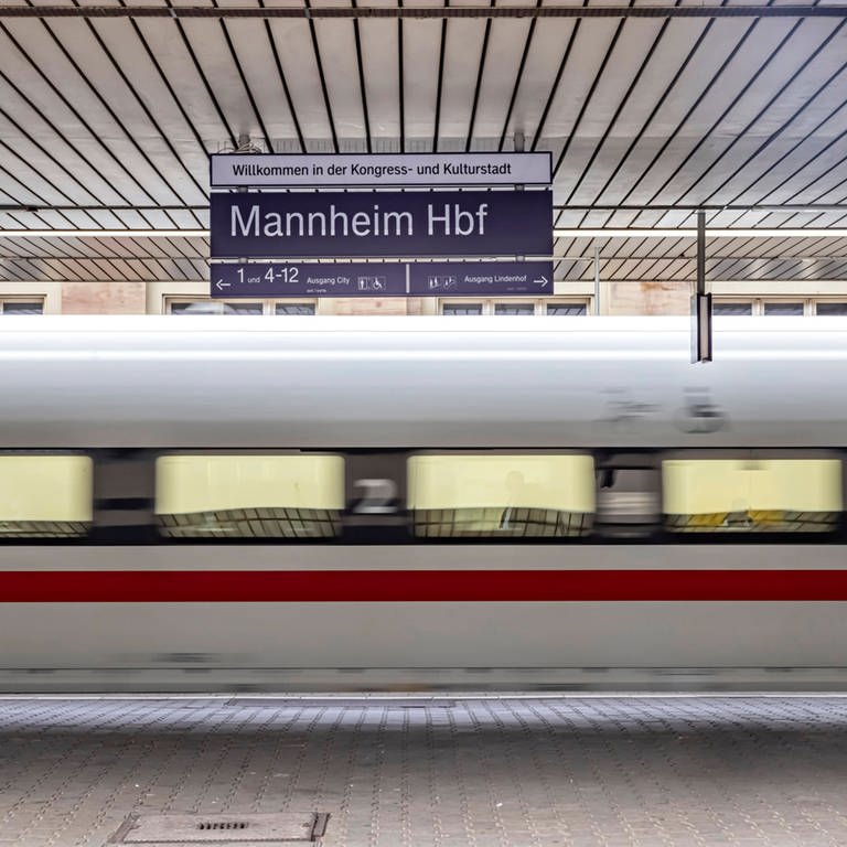 Ein ICE fährt durch den Mannheimer Hauptbahnhof. (Foto: IMAGO, IMAGO / Arnulf Hettrich)