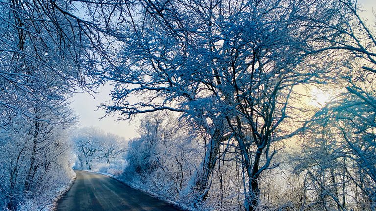 Winterbilder in der Rhein Neckar Region (Foto: SWR)