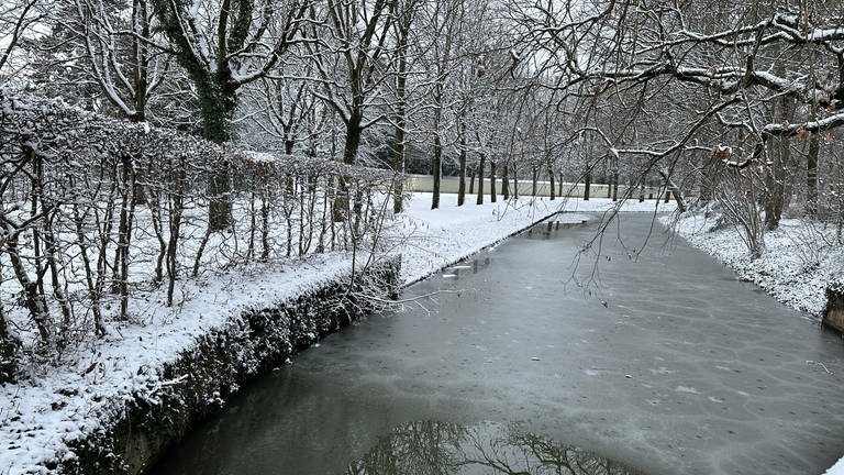 Winterbilder in der Rhein Neckar Region (Foto: SWR)