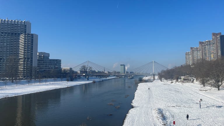 Blick auf den Neckar (Foto: SWR)