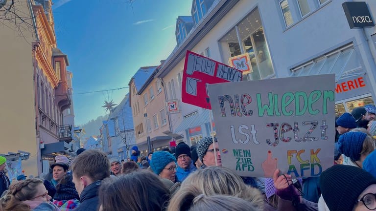 Demo gegen rechts in Weinheim (Foto: SWR)