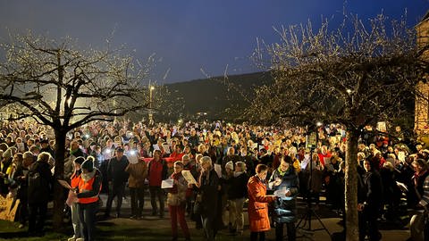 Gegenprotest "Hier singt das Volk" bei AfD-Veranstaltung in Mosbach (Neckar-Odenwald-Kreis) (Foto: SWR)