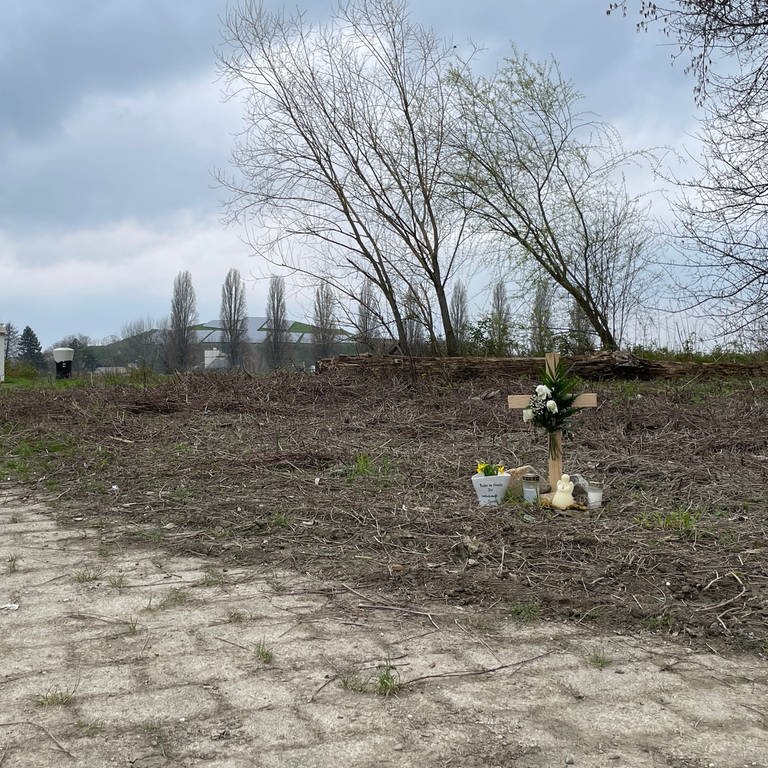 Am Donnerstag (7. März) haben Spaziergänger im Bereich des Rheindamms in Hockenheim (Rhein-Neckar-Kreis) eine Frauenleiche entdeckt (Foto: SWR)