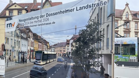 Bauinformationsschild. So soll die Dossenheimer Landstraße nach der Sanierung aussehen. (Foto: SWR)