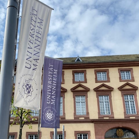 Außenansicht des Ostflügels der Universität Mannheim. (Foto: SWR)