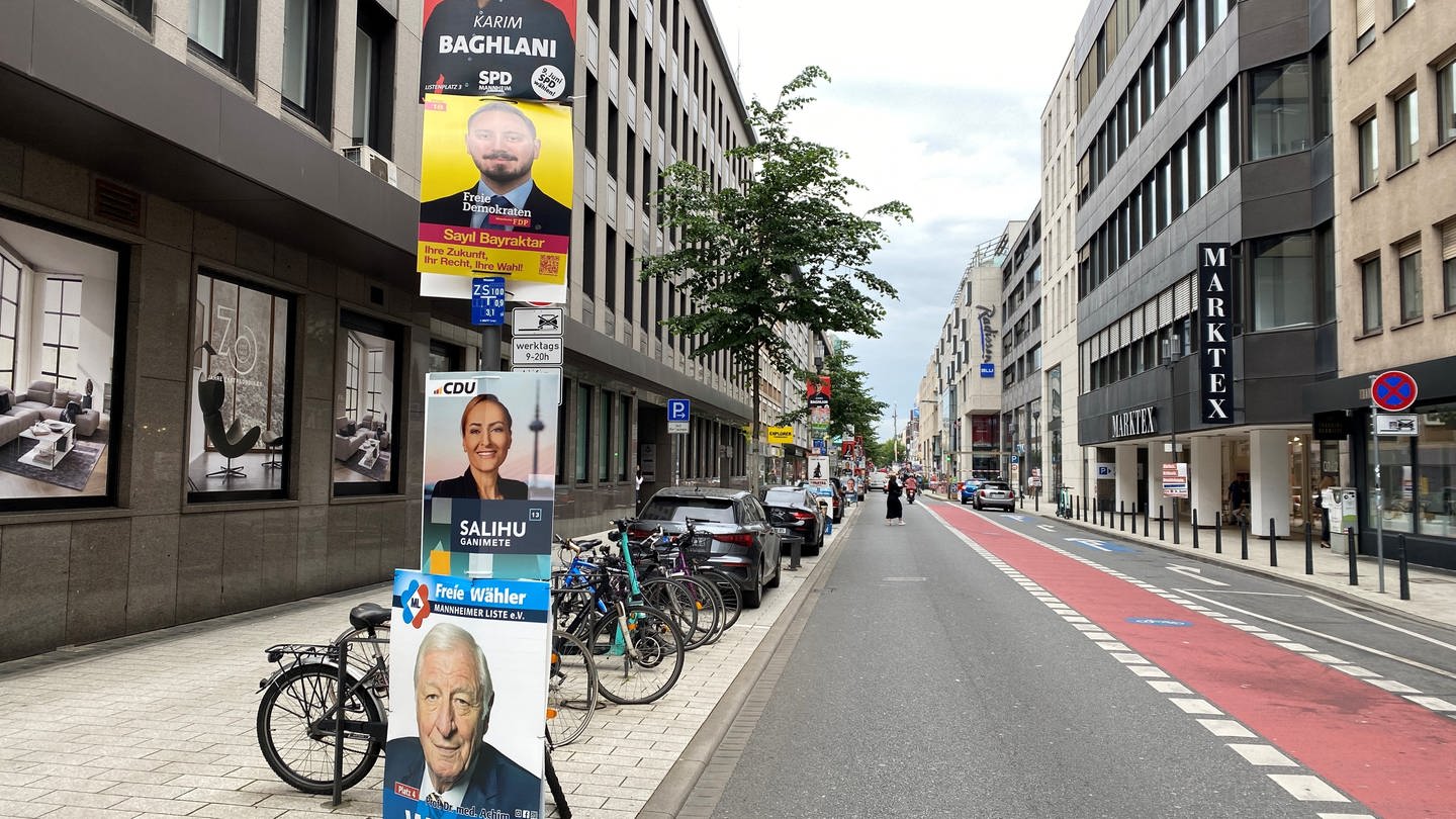 Wahlplakate in Mannheim (Foto: SWR)