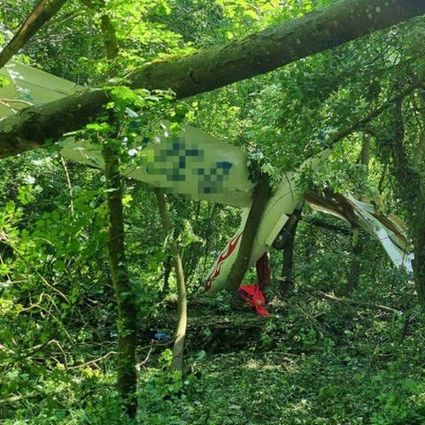 Das abgestürzte Flugzeug hängt zwischen den Bäumen.