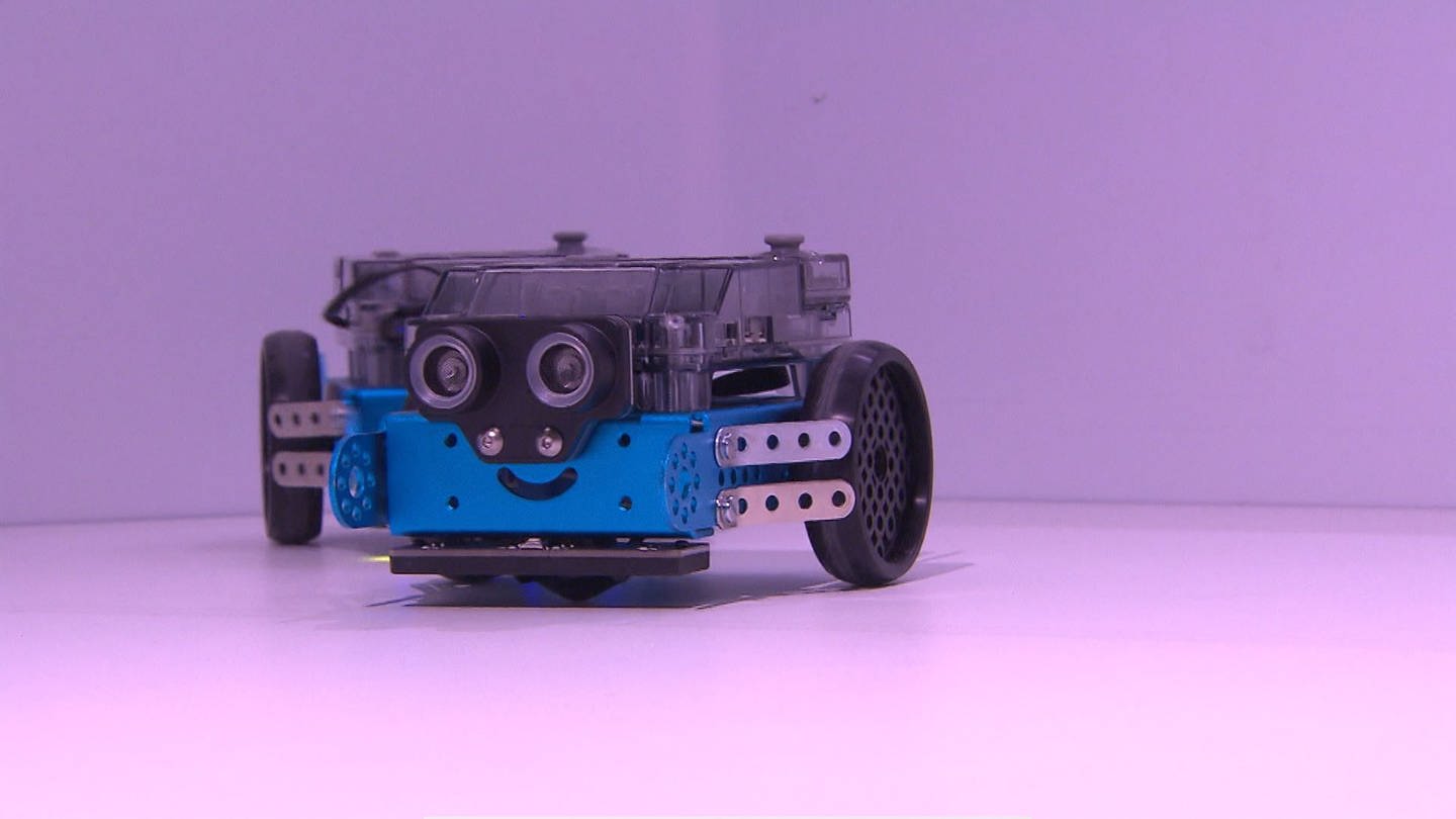 Ein kleiner Roboter, der Bilder und Farben erkennen kann. Er hat zwei Reifen und zwei Kameras als Augen. (Foto: SWR)