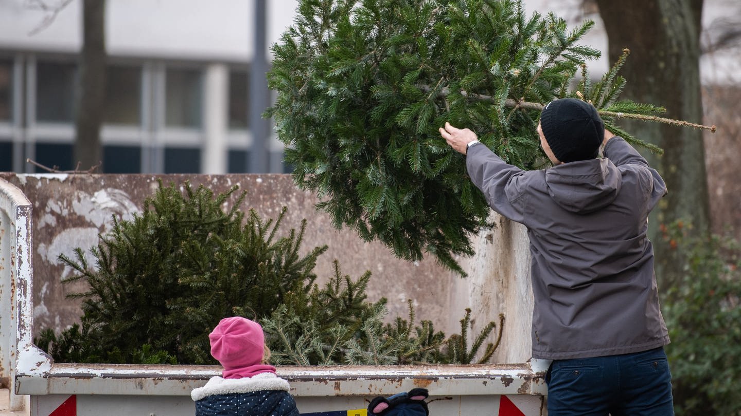 Ein Mann wirft vor seinen Kindern einen alten Weihnachtsbaum in einen Container. (Foto: dpa Bildfunk, picture alliance/dpa/dpa-Zentralbild | Robert Michael)