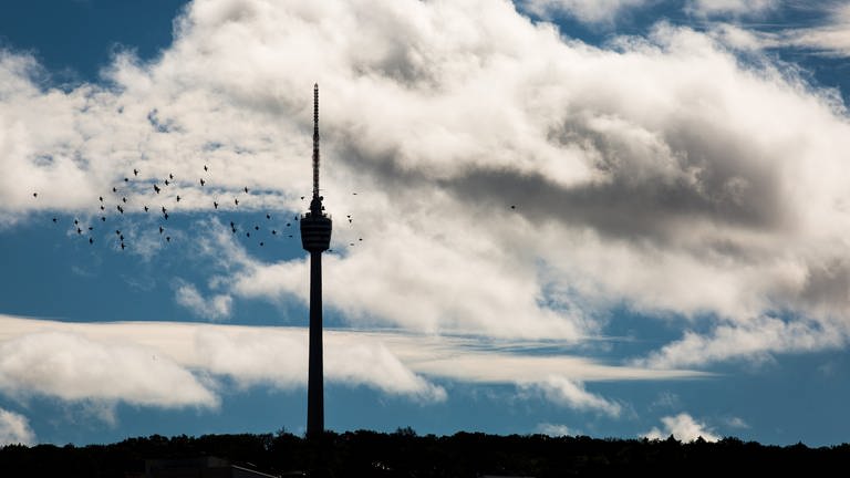 Stuttgarter Fernsehturm soll Welterbe werden (Foto: dpa Bildfunk, picture alliance/dpa | Christoph Schmidt)