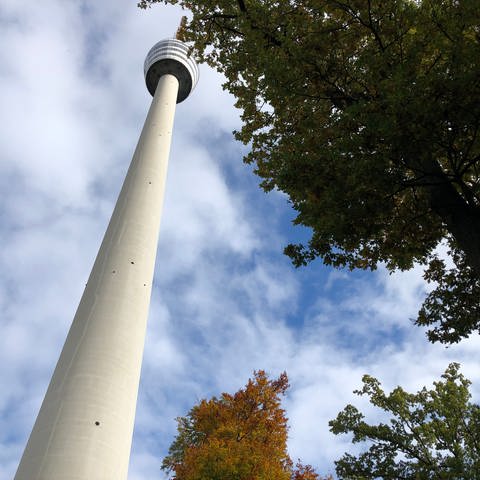 Der Fernsehturm in Stuttgart soll Unesco-Welterbe werden (Foto: SWR, Verena Neuhausen)
