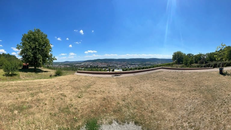 Der Aussichtspunkt Grafenberg über Schorndorf: verbranntes Gras, wo sich sonst die Ausblick-Genießer tummeln. (Foto: SWR, Fabian Ziehe)