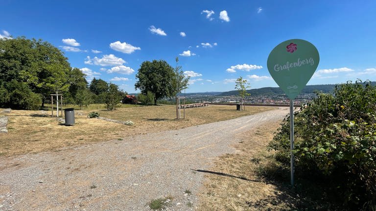 Schon für die Landesgartenschau 2019 wurde der Aussichtspunkt auf dem Grafenberg hübsch hergerichtet. (Foto: SWR, Fabian Ziehe)