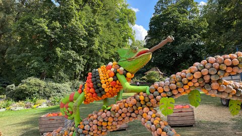 Bei der 23. Kürbisausstellung im Blühenden Barock dreht sich alles um das Thema Kürbis-Dschungel, dazu gehört auch ein mit Kürbissen dekoriertes Chamäleon.  (Foto: SWR, Vanessa Sieck)
