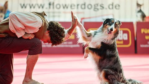 Dogdance-Europameisterschaft beim Messeherbst Stuttgart (Foto: Pressestelle, Landesmesse Stuttgart GmbH / Uli Regenscheit)