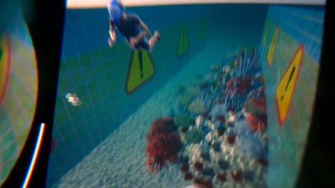 Korallen und die anderen Schwimmer als Teil des Szenarios - so kann der Blick durch die VR-Brille aussehen. (Foto: SWR)