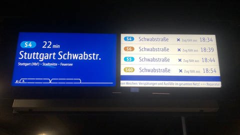Eine Anzeige am Nordbahnhof: Der Stuttgarter S-Bahn-Verkehr ist wegen defekter Weichen gestört.  (Foto: SWR, Philipp Pfäfflin)