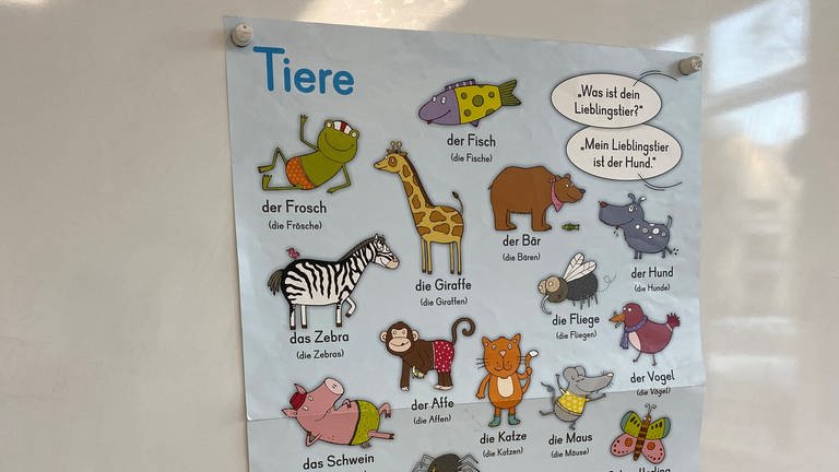 Plakat mit Tiernamen an einer Schule in Weil der Stadt (Kreis Böblingen) (Foto: SWR)