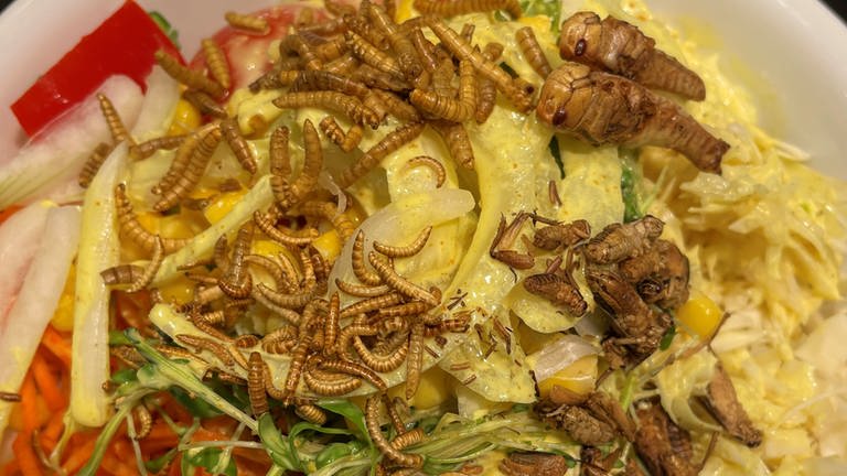 Bunter Salat mit essbaren Insekten (Foto: SWR, Vanessa Sieck)