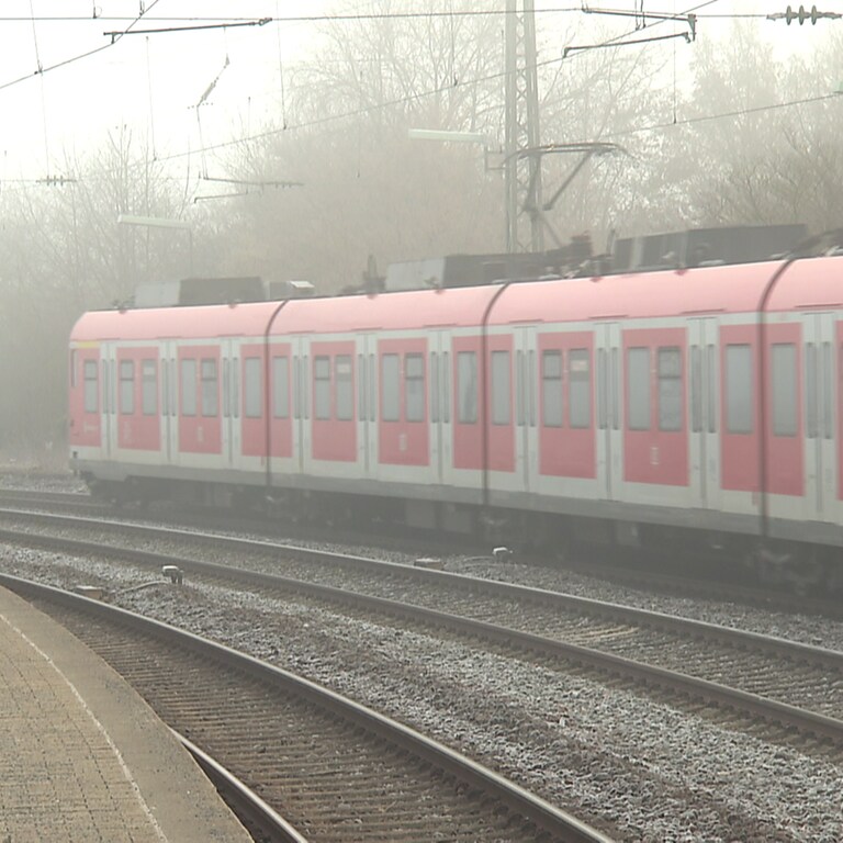 S-Bahn im Nebel (Foto: SWR)