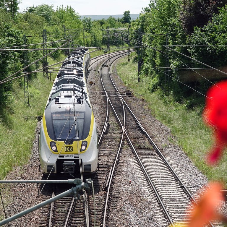 Zug fährt auf der Gäubahnstrecke - Ihre Zukunft wird beim Faktencheck am Freitag diskutiert (Foto: dpa Bildfunk, picture alliance/dpa | Christian Johner)