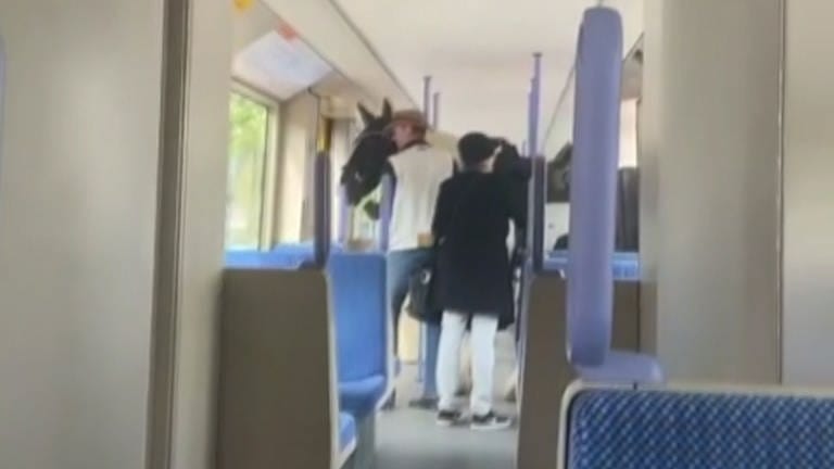 Auf einem im Netz kursierenden Video sind ein Mann mit Cowboyhut und ein Pferd zu sehen, die in eine Straßenbahn in Stuttgart steigen. (Foto: Instagram@gerome0711)