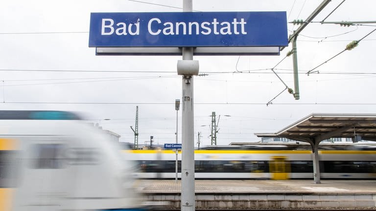 Zug und S-Bahn auf dem Bahnhof Bad Cannstatt (Foto: dpa Bildfunk, picture alliance/dpa | Christoph Schmidt)