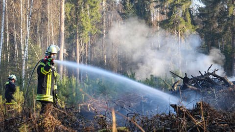 Ein Feuerwehrmann löscht einen Waldbrand. Die Waldbrandgefahr ist derzeit in Teilen Baden-Württembergs laut DWD auf der zweit höchsten Stufe. (Foto: dpa Bildfunk, picture alliance/dpa/5vision.media | Fabien Kriegel)