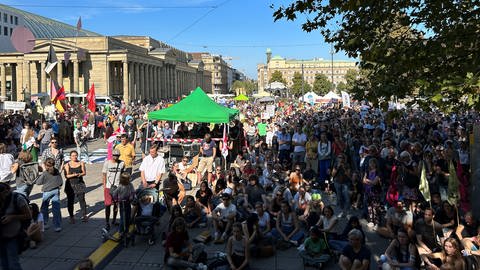Zur Fridays for Future-Demonstration hat sich eine große Menschenmenge mit Fahnen und Transparenten auf dem Stuttgarter Schlossplatz versammelt. (Foto: SWR, Paula Agarwalla)
