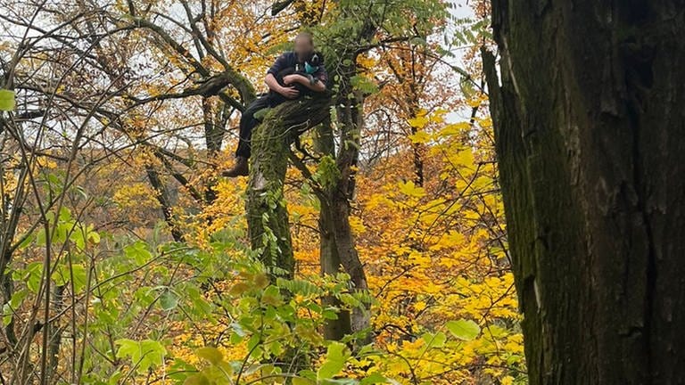 Ein Mann sitzt mit einem Hund auf einem Baum. Der Hund kam alleine nicht mehr herunter. (Foto: Feuerwehr Stuttgart)