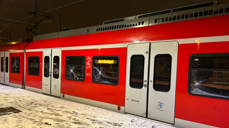 Eine beschädigte S-Bahn in Stuttgart (Foto: SWR)