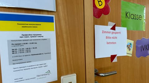 Schule in Herrenberg muss Räume wegen Ratten schließen (Foto: SWR, Deborah Kölz)