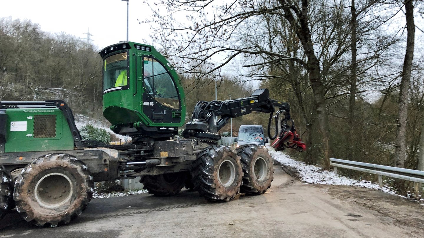 Baumfällarbeiten am Remstal-Radweg: Zu sehen ist ein Harvester, ein Fahrzeug, das Bäume fällt und hinlegt. (Foto: Pressestelle, Stadt Waiblingen/Thorgen Semder)