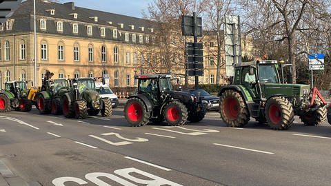 Vor dem Neuen Schloss in Stuttgart stehen Traktoren, die bereits am Morgen auf dem Weg zur Kundgebung der Bäuerinnen und Bauern sind. (Foto: SWR, Aita Koha)