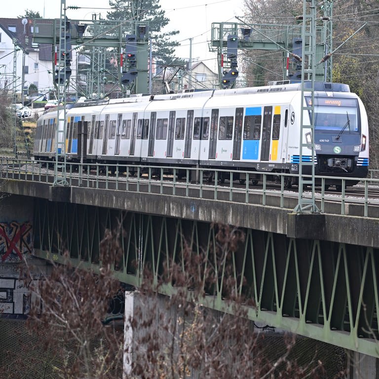 Zwei S-Bahnen fahren über das Nesenbachviadukt in Stuttgart-Vaihingen. (Foto: dpa Bildfunk, picture alliance/dpa | Bernd Weißbrod)