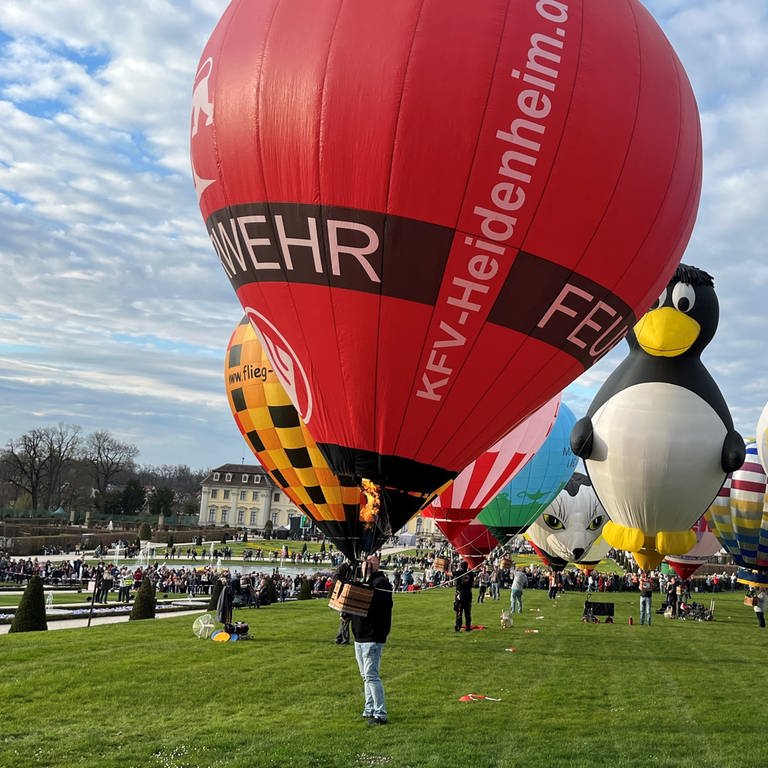 81 Modellballone standen im Blühenden Barock im der Luft. Das ist ein neuer Weltrekord! (Foto: SWR, Werner Trefz)