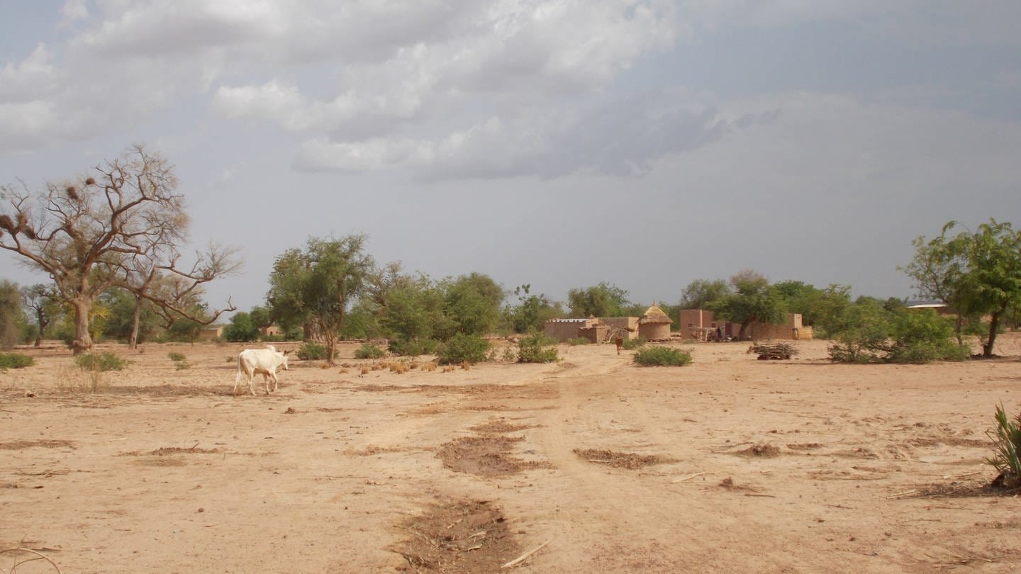 Wüstenartige Landschaftsszene mit Siedlung im Hintergrund in Burkina Faso (Foto: Pressestelle, Stadt Ludwigsburg)