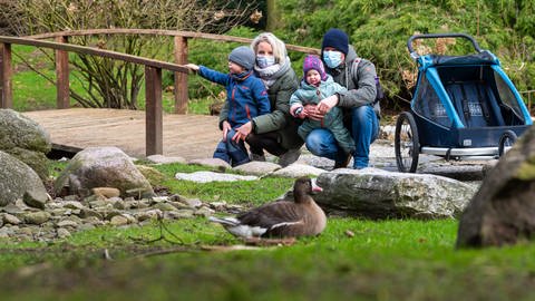 Eine Familie mit zwei kleinen Kindern beobachtet eine Ente, die im Gras sitzt. (Foto: dpa Bildfunk, picture alliance/dpa | Philipp Schulze)