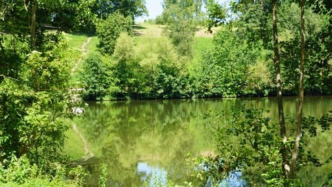 An den Bürgerseen in KirchheimTeck ist schwimmen und plantschen nicht an jedem der drei Seen erlaubt. (Foto: dpa Bildfunk, picture alliance/dpa/SDMG | Krytzner)