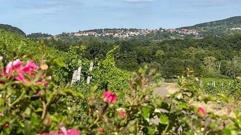 Ein schmucker "Flecka": Breuningsweiler ist der höchst gelegene Teilort von Winnenden.  (Foto: SWR, Fabian Ziehe)