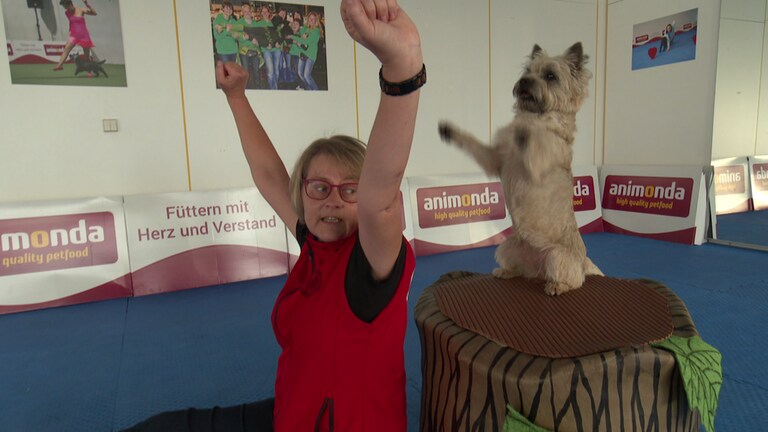 Hunde tanzen mit Menschen beim Dogdance (Foto: SWR)